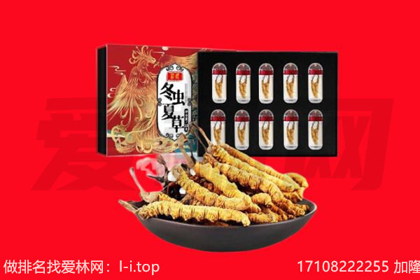 儋州回收虫草.jpg